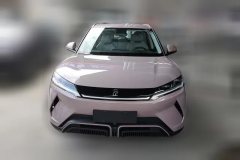 2024 BYD Yuan UP 2024 401KM Leading #2