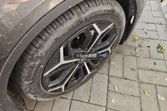 მარჯვენა წინა დისკი