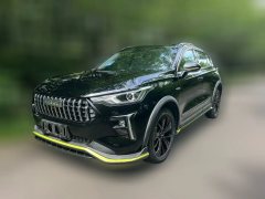 2021 Haval Chitu 2021 1.5T AT ProvokingEdition golden rabbit #1