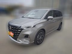 2024 Roewe iMAX8 EV 2025 1.5T DMH Lu ZunLuxury #1