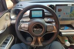 2026 BYD Dolphin 2025 420km freeEdition #15