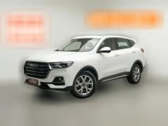 2021 Haval H6 2021 1.5T AT China tideChampion #1