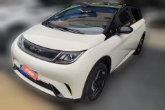 2023 BYD Dolphin 2021 405km Fashion #1