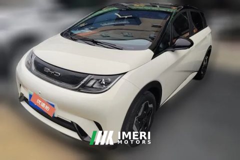 2023 BYD Dolphin 2021 405km Fashion