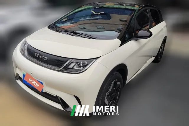2023 BYD Dolphin 2021 405km Fashion