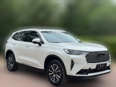 2025 Haval H6 2024 1.5T AT 2WDClassic #3