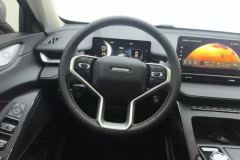 2023 Haval H6 2022 No.3generation 1.5T AT 2WDMax #15