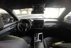 2022 Haval Chitu 2021 1.5T AT ProvokingEdition golden rabbit #9
