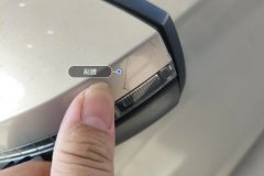 Left Exterior Mirror