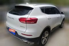 2019 Haval H6 2019 1.5T AT Red LabelLuxurySmart Connect #3