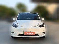 2022 Tesla Model Y 2022 PerformancehighPerformanceall wheel driveEdition #2
