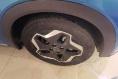 2022 BYD Dolphin 2023 420km Fashion #6
