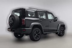2023 Tank 300 2023 Off-road 2.0T AT conqueror #2
