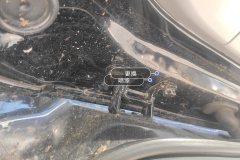 Trunk Lid