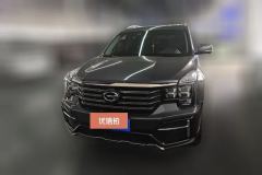 2021 GAC Trumpchi Trumpchi GS8 2020 2.0T AT 390TLuxurySmart ConnectAnniversary（7Seat）FWD #2