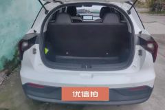 2022 Geometry E Firefly 2022 401KM Exquisite Tiger 4Seat #4
