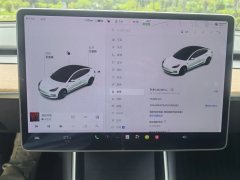 2020 Tesla Model 3 2020 StandardBattery lifeRWDUpgradeEdition #13