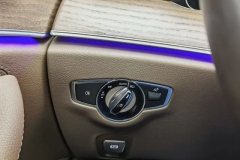2023 Mercedes-Benz E-Class 2023 Facelift 2.0T AT E 260 L #24