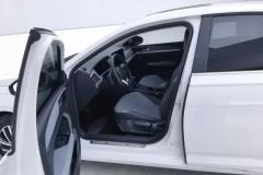 2024 Volkswagen Lavida 2024 1.5L AT starry sky 5Million thousandEdition #9
