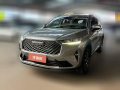 2021 Haval H6 2021 1.5T AT No.3generation2WDMax #1