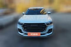 2023 Haval H6 2021 1.5T AT China tideChampion #2