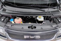 2022 BYD Dolphin 2021 401km knightEdition #10