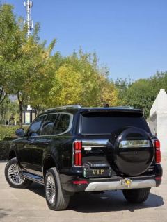 2024 Tank 500 PHEV 2024 Hi4-T 2.0T AT #10
