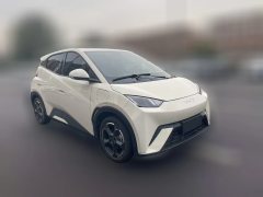 2024 BYD Seagull 2024 Glory 405KM flyEdition #3