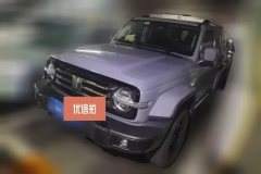 2023 Tank 300 2023 CityEdition 2.0T AT Very #1
