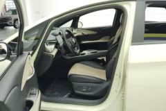 2025 BYD Dolphin 2025 Smart Drive 420km freeEdition #9