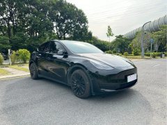 2023 Tesla Model Y 2023 rear wheel driveEdition #7