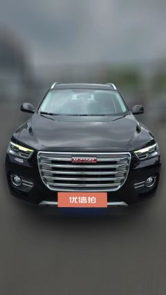 2018 Haval H6 2018 1.5T AT SportElite FWD #2
