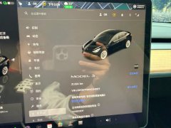 2022 Tesla Model 3 2022 rear wheel driveEdition #18