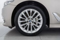 2019 BMW 5 Series 2019 2.0T AT 530LiLeadingLuxury Pkg #6