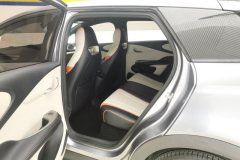 2022 BYD Dolphin 2021 405km Fashion #11