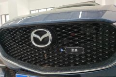 Intake Grille