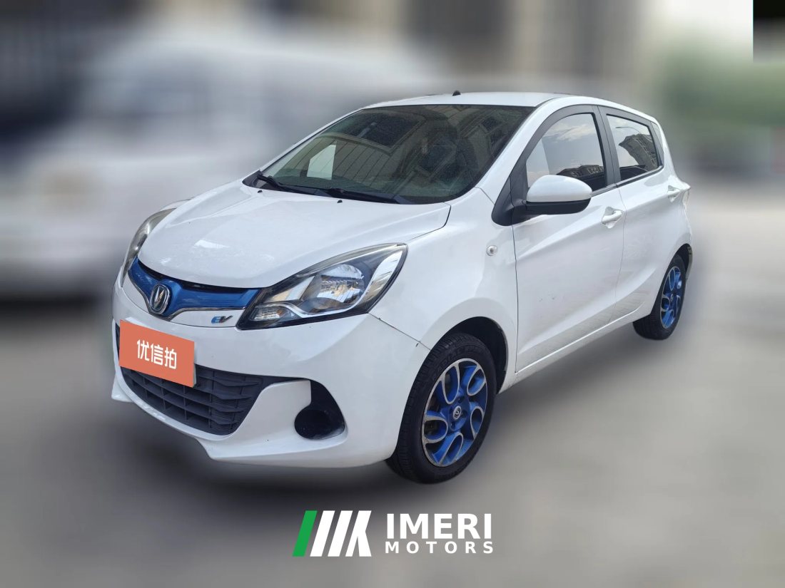 2018 Chang'an Benben EV 2018 EV260 Standard