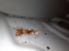 Right Sill Inner Cavity