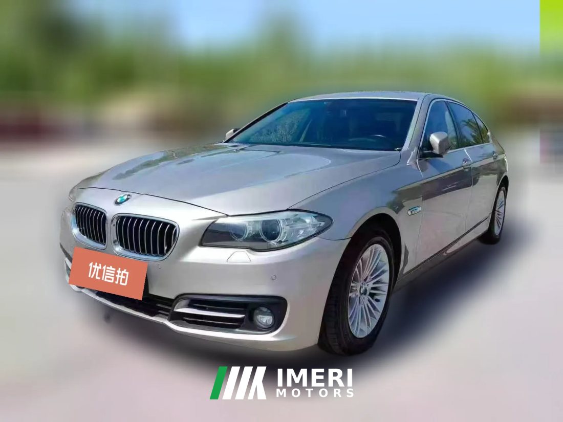 2015 BMW 5 Series 2015 3.0T AT 535LiLeading