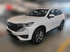 2022 Haval H6 PHEV 2023 1.5T AT DHT-PHEV 55KM YuexingEdition #1