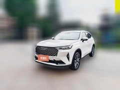 2025 Haval H6 2024 1.5T AT 2WDClassic #1