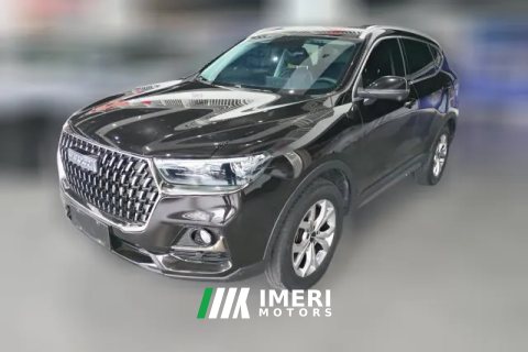 2023 Haval H6 2021 1.5T AT China tideChampion