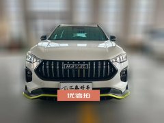 2021 Haval Chitu 2021 1.5T AT ProvokingEdition golden rabbit #2