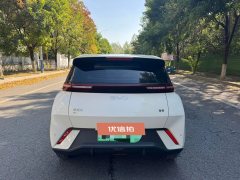 2024 BYD Seagull 2024 Glory 305KM freeEdition #9