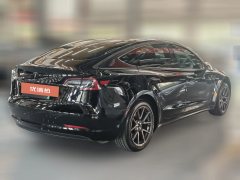 2020 Tesla Model 3 2020 StandardBattery lifeRWDUpgradeEdition #3
