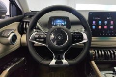 2025 BYD Yuan Plus 2024 Glory 430KM Leading #15