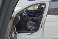 2020 BMW 5 Series 2021 2.0T AT 530LiLeadingLuxury Pkg #9