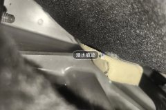 Left Rear Carpet