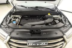2021 Haval H6 2021 1.5T AT China tideChampion #10