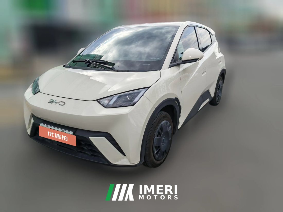 2025 BYD Seagull 2024 Glory 305km vitalityEdition